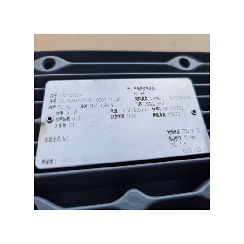 RX67 DRE100LC4/BE5/H/F Helical Gear Motor Parallel Shaft 3kW With Brake Forced Cooling